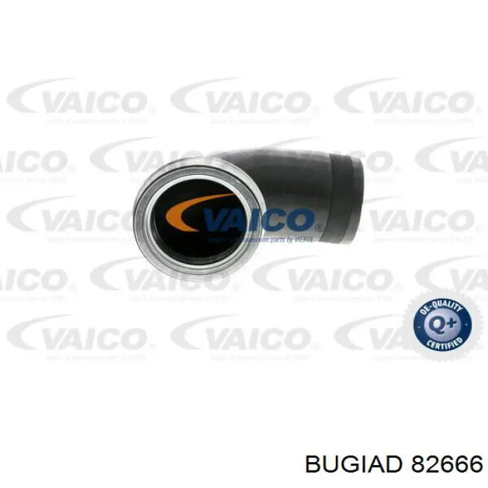 Manguera del intercooler Bugiad 82666 precio, desde 29,38 EUR