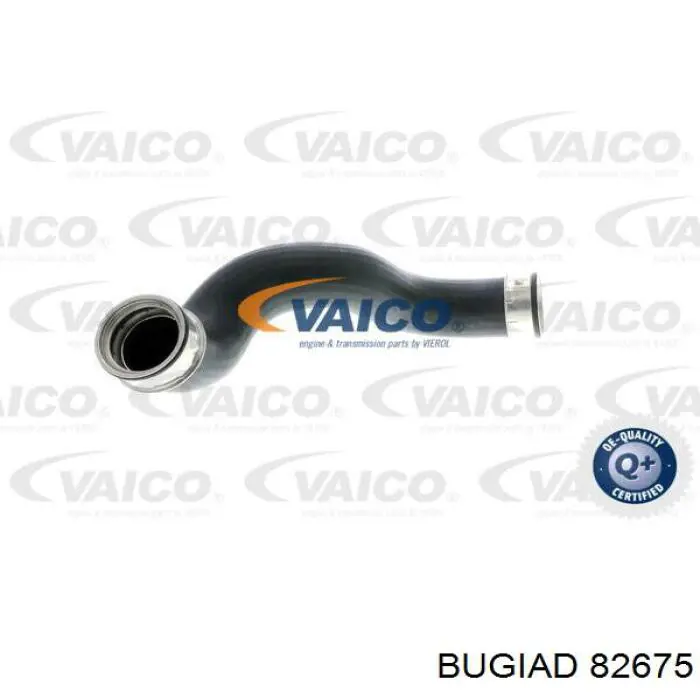 Manguera del intercooler Bugiad 82675 precio, desde 42,77 EUR
