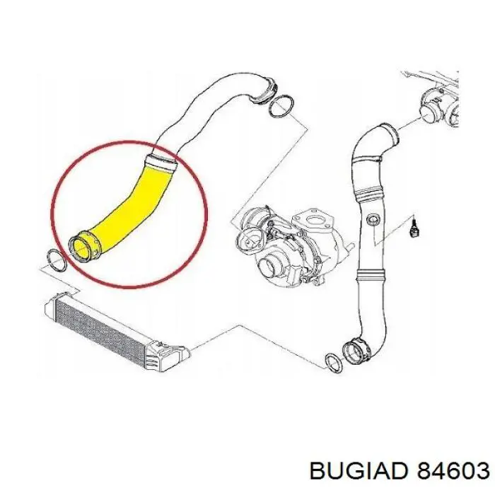 Manguera del intercooler Metalcaucho 09588 precio, desde 27,42 EUR