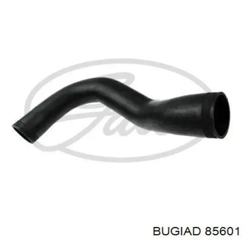 Tubo flexible de aire de sobrealimentación General Motors 22766952