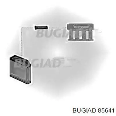 Manguera del intercooler Bugiad 85641 precio, desde 30,57 EUR