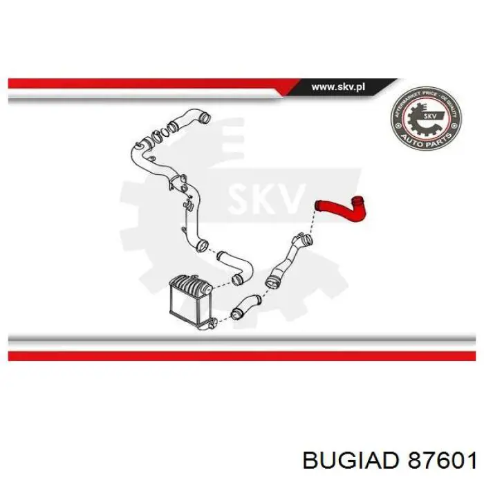 87601 Bugiad tubo intercooler