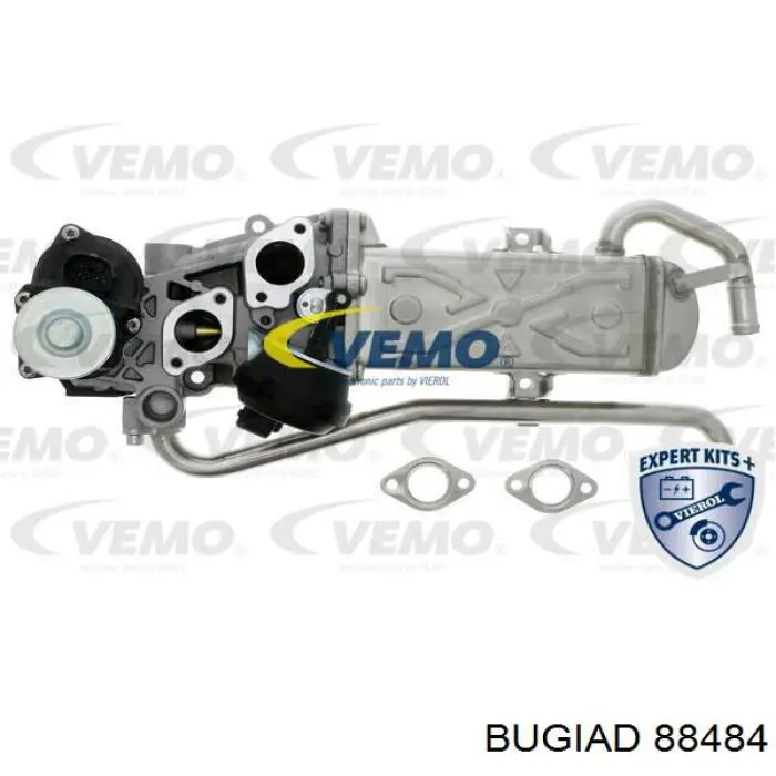 Manguera del intercooler Fiat/Alfa/Lancia 51901755 precio, desde 56,83 EUR