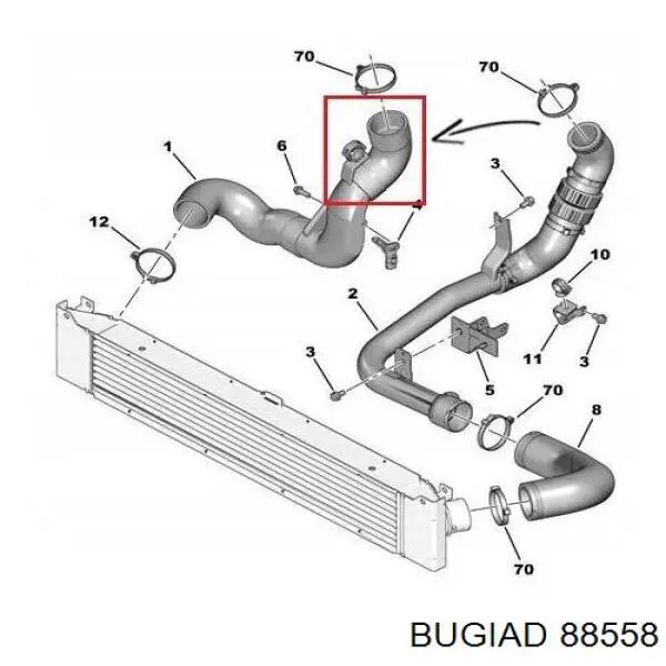 88558 Bugiad tubo flexible de aire de sobrealimentación derecho