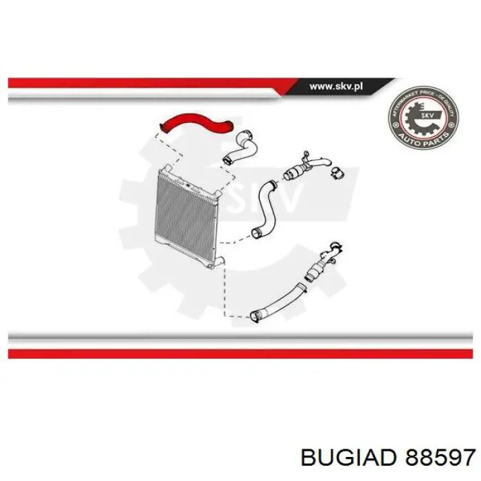 Manguera del intercooler Impergom 224955 precio, desde 23,48 EUR