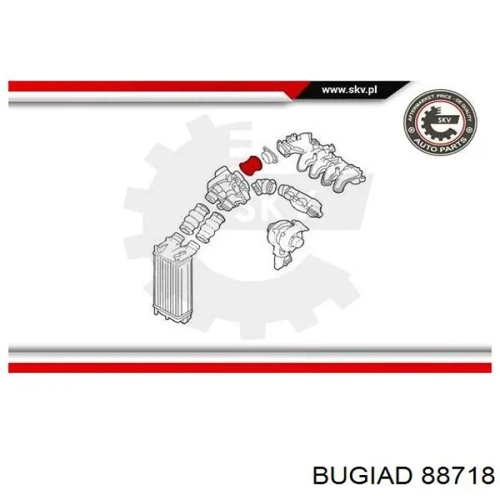 Tubo intercooler 88718 Bugiad