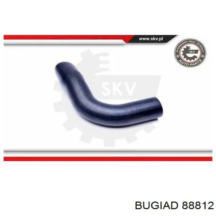066582 Cautex Manguera del intercooler