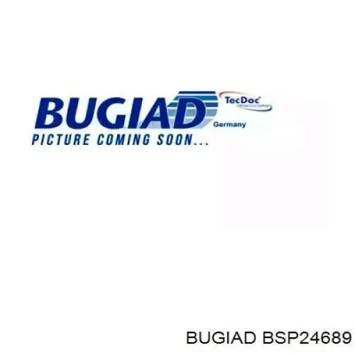 BSP24689 Bugiad