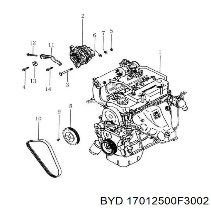 17012500F3002 BYD Correa poly v
