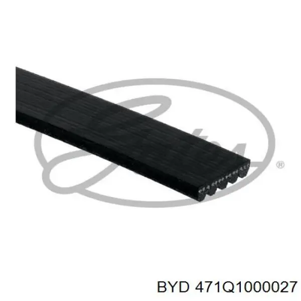 471Q1000027 BYD Correa poly v
