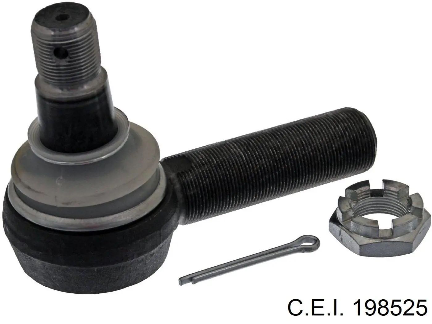 198525 C.e.i. Terminal de dirección