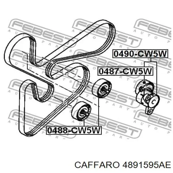 4891595AE Caffaro tensor de correa, correa poli v