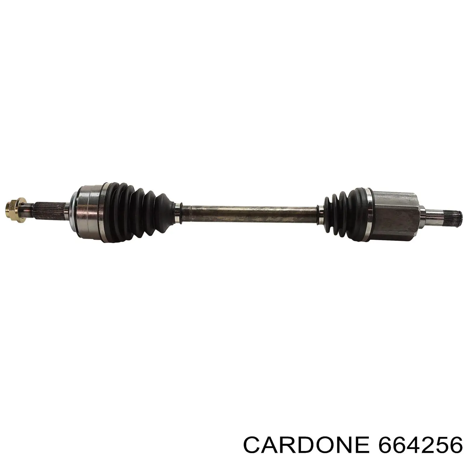 664256 Cardone