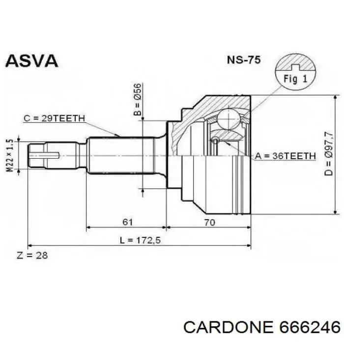 666246 Cardone árbol de transmisión delantero derecho