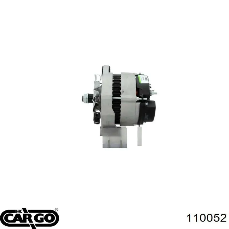 110112 Cargo alternador