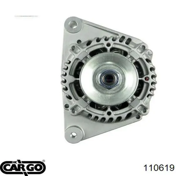 110619 Cargo alternador