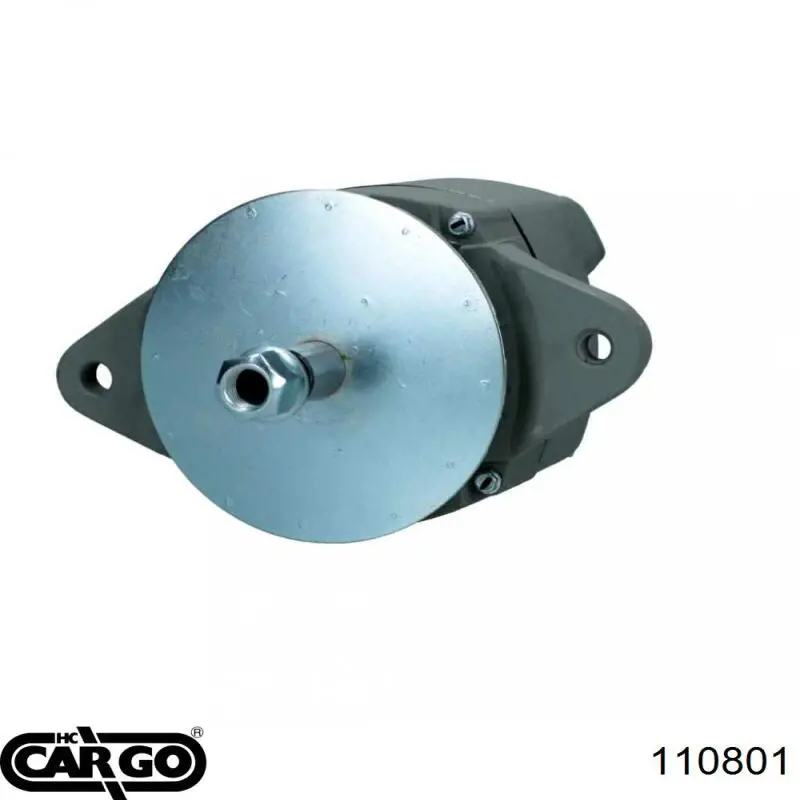 110801 Cargo alternador