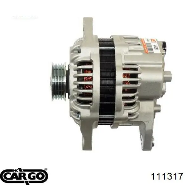 111317 Cargo alternador