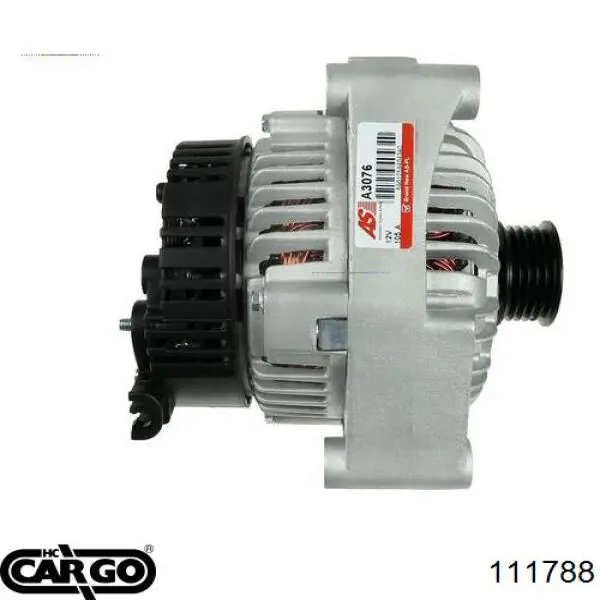 111788 Cargo alternador