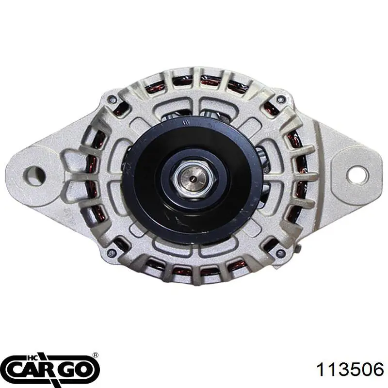 113506 Cargo alternador