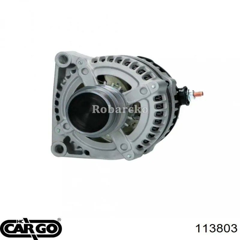 113803 Cargo alternador