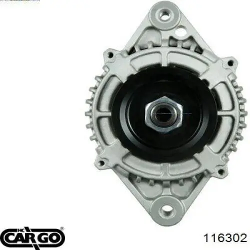 116302 Cargo alternador