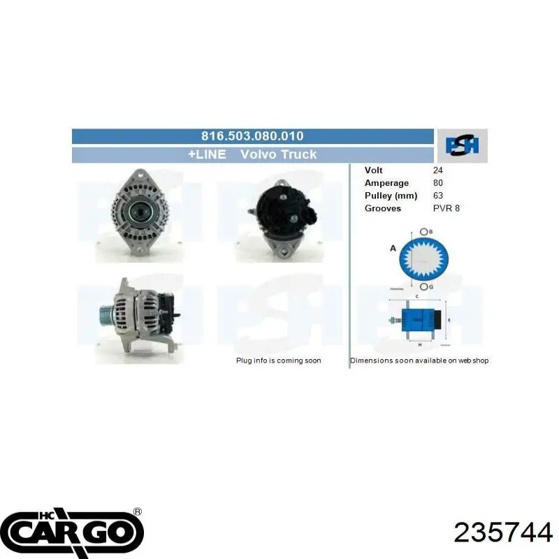 235744 Cargo Rotor del alternador