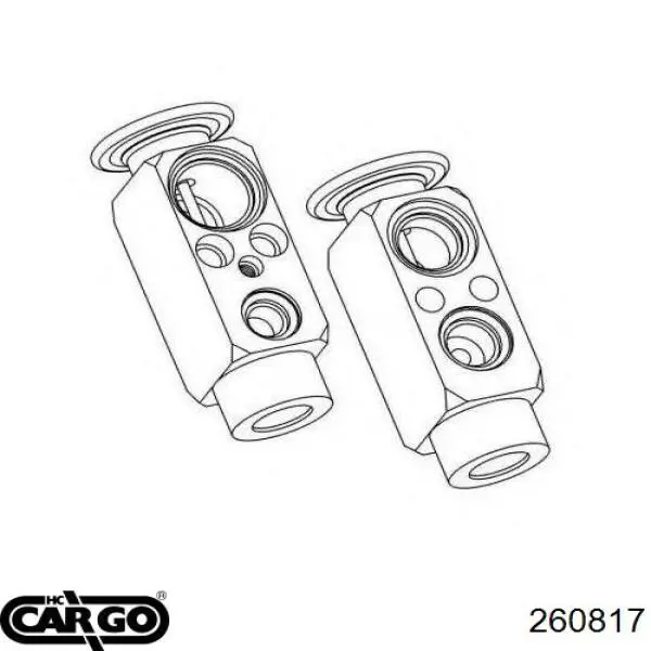 260817 Cargo válvula de expansión, aire acondicionado
