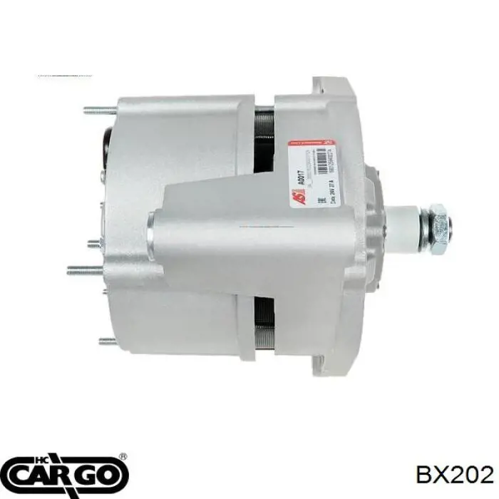 Escobillas alternador 010611 IKA