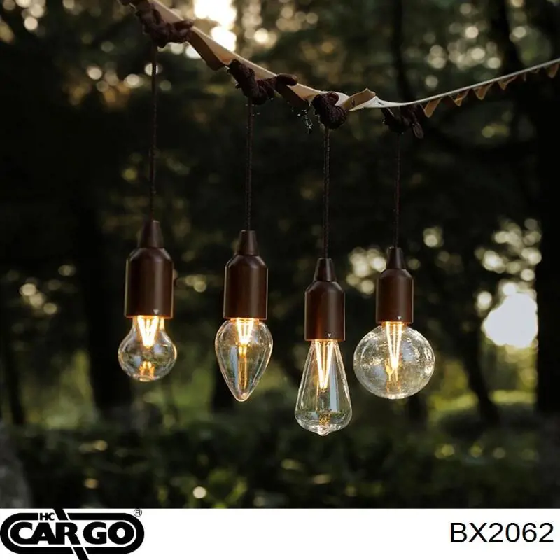 Escobillas alternador BX2062 Cargo