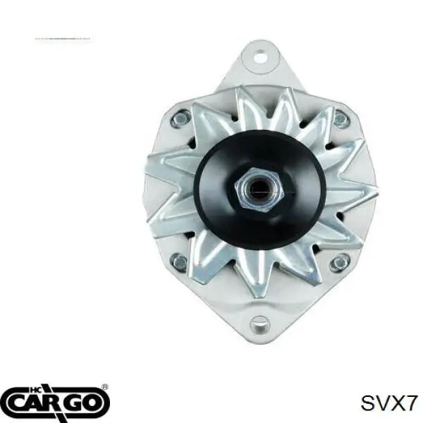 Escobillas alternador SVX52 Cargo
