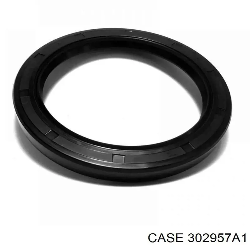 Junta tórica universal Case 302957A1 precio, desde 14,25 EUR