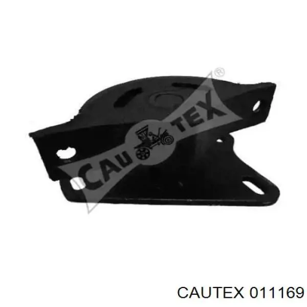 011169 Cautex 