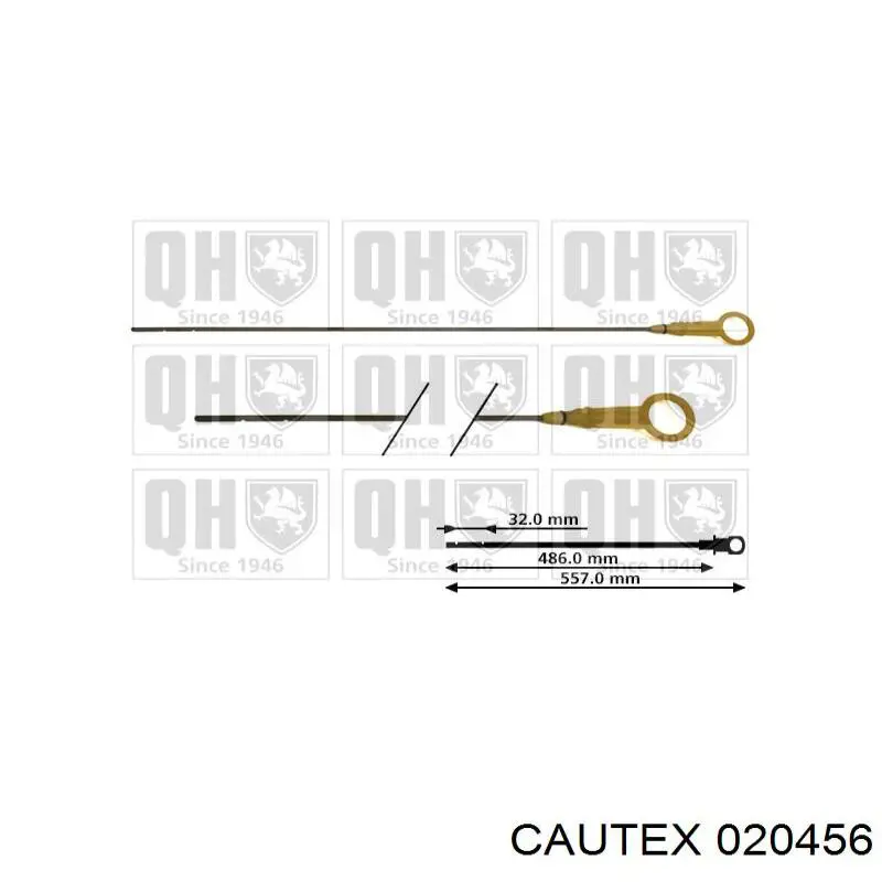 Varilla del nivel de aceite Renault Kangoo 1 FC0, FC1