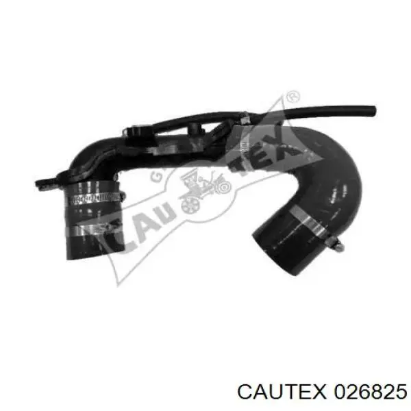 Tubo de salida de aire del turbocompresor Cautex 026825 precio, desde 38,16 EUR