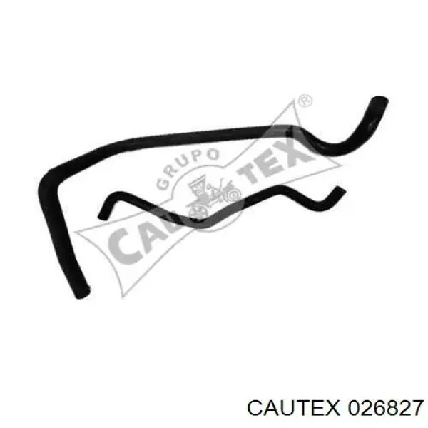026827 Cautex 
