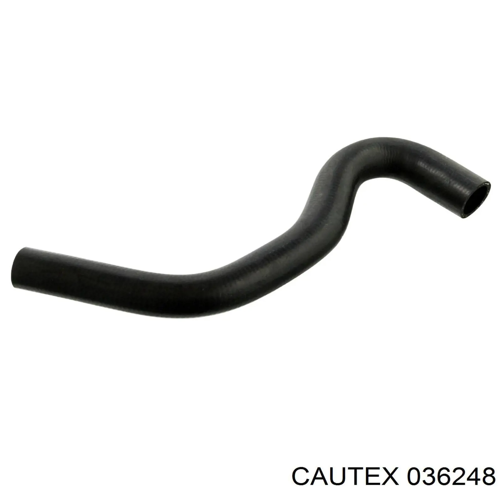 Manguera inferior del radiador Cautex 036248 precio, desde 28,22 EUR