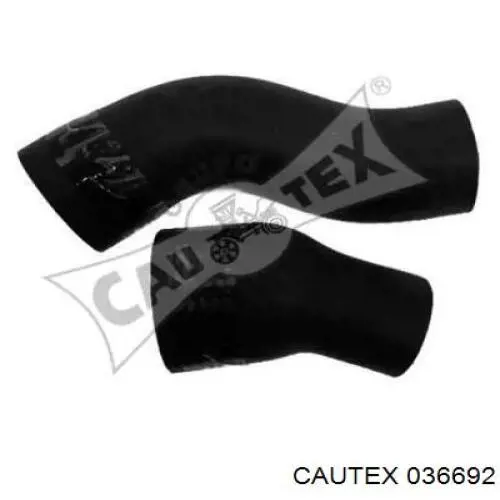 036692 Cautex 
