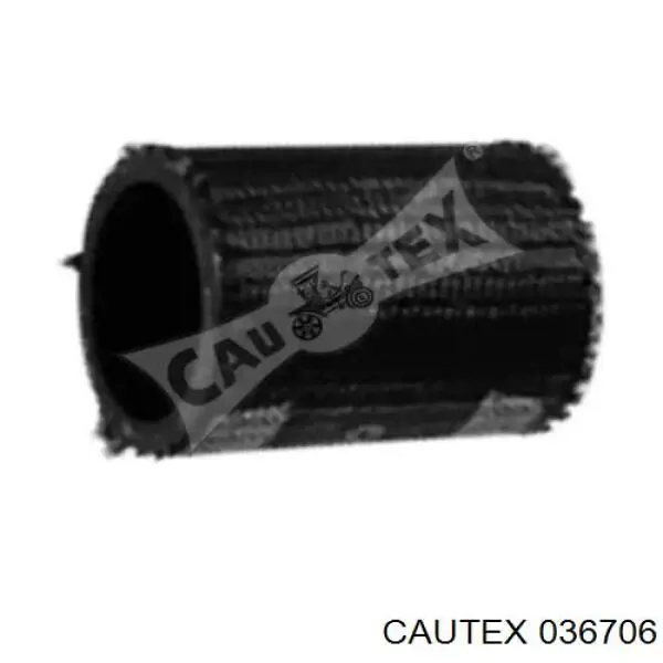 036706 Cautex 