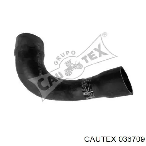 036709 Cautex 