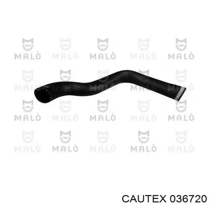 Manguera del intercooler Cautex 036720 precio, desde 39,96 EUR