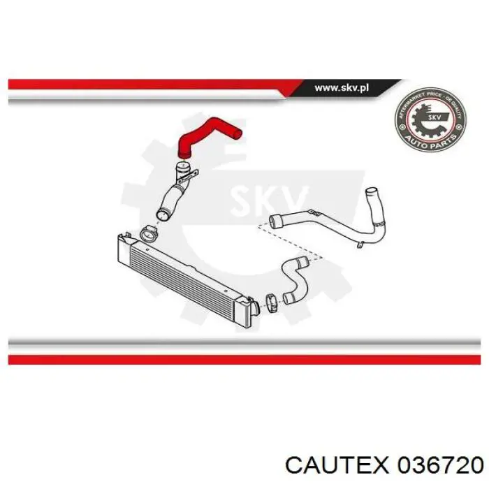 Comprar 036720 Cautex Tubo intercooler