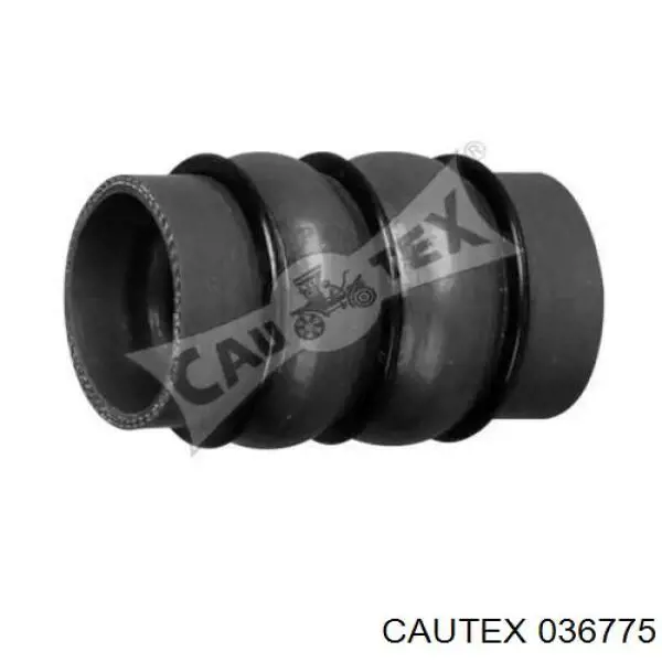 036775 Cautex Manguera del intercooler