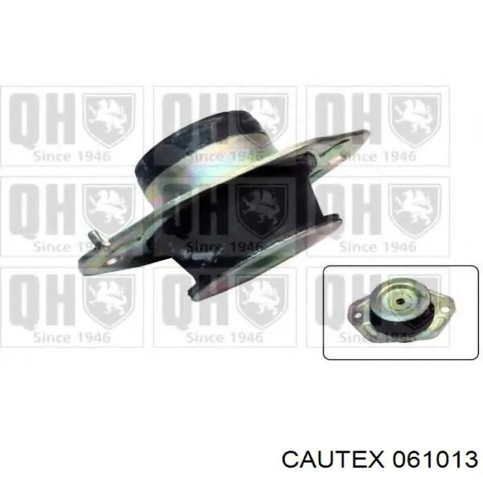 061013 Cautex soporte motor izquierdo