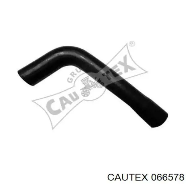 066578 Cautex Manguera superior del radiador