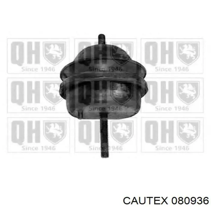 Comprar 080936 Cautex Soporte izquierdo del motor