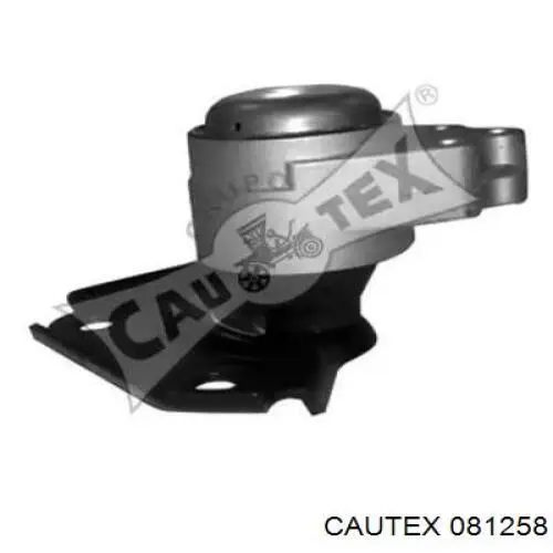 Soporte de motor derecho Cautex 081258 precio, desde 55,00 EUR