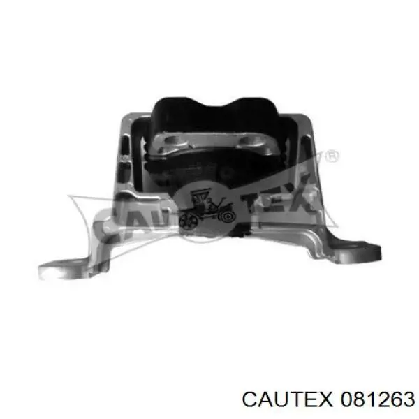 Soporte delantero derecho del motor Cautex 081263 precio, desde 48,54 EUR