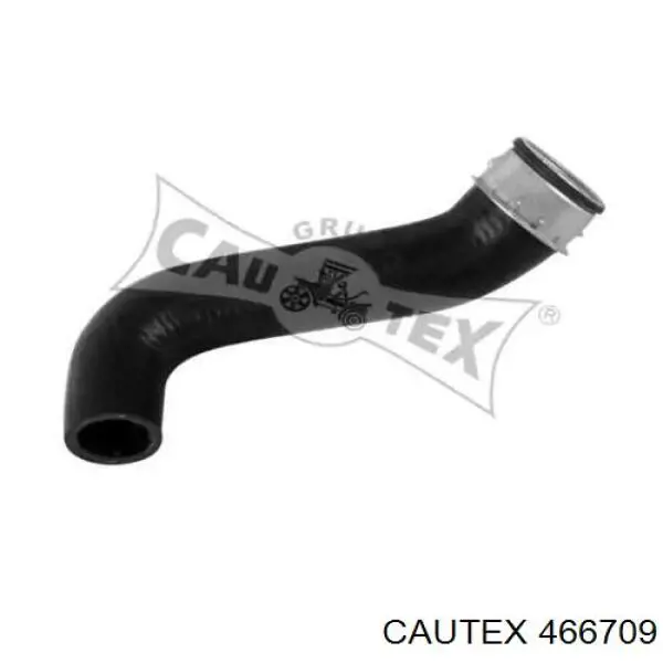 Manguera del intercooler Cautex 466709 precio, desde 25,30 EUR