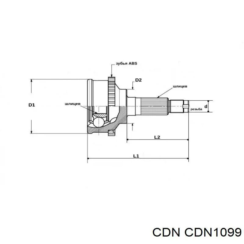 CDN1099 CDN junta homocinética exterior delantera